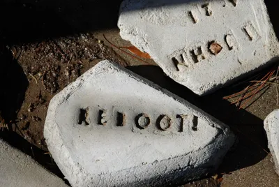 DSC_0026 (Large).JPG